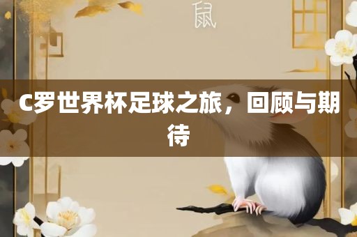 C罗世界杯足球之旅，回顾与期待