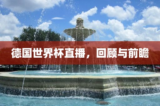德国世界杯直播，回顾与前瞻眉山市正发家政服务有限公司