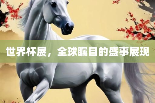世界杯展，全球瞩目的盛事展现