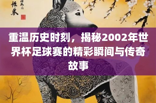 重温历史时刻，揭秘2002年世界杯足球赛的精彩瞬间与传奇故事眉山市正发家政服务有限公司