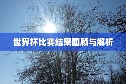 世界杯比赛结果回顾与解析眉山市正发家政服务有限公司