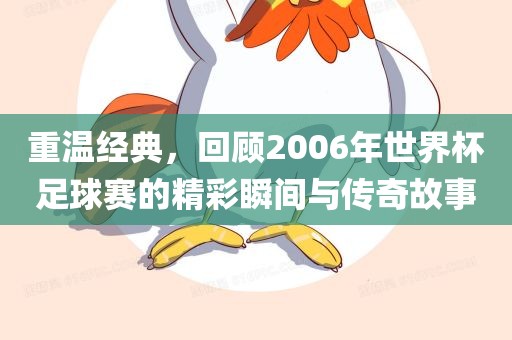 重温经典，回顾2006年世界杯足球赛的精彩瞬间与传奇故事眉山市正发家政服务有限公司