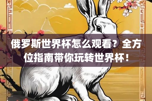 俄罗斯世界杯怎么观看？全方位指南带你玩转世界杯！眉山市正发家政服务有限公司