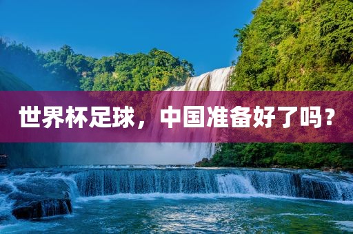 世界杯足球，中国准备好了吗？眉山市正发家政服务有限公司