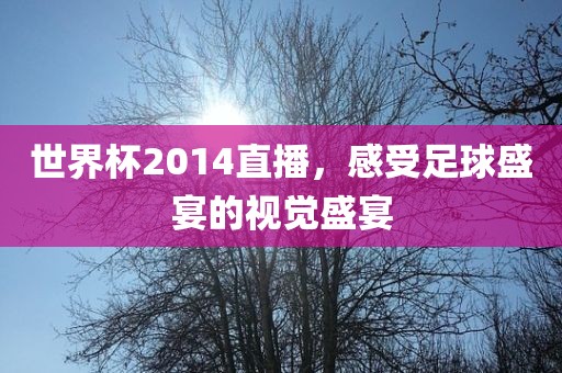 世界杯2014直播，感受足球盛宴的视觉盛宴眉山市正发家政服务有限公司