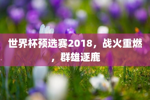 世眉山市正发家政服务有限公司界杯预选赛2018，战火重燃，群雄逐鹿