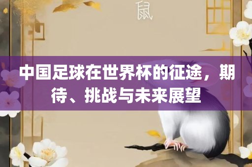 中国足球在世界杯的征途，期待、挑战与未来展望眉山市正发家政服务有限公司