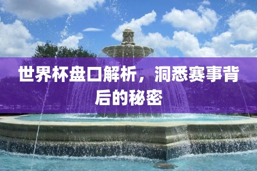 世界杯盘口解析，洞悉赛事背后眉山市正发家政服务有限公司的秘密