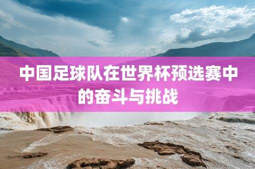 中国足球队在世界杯预选赛中的奋斗与挑战眉山市正发家政服务有限公司