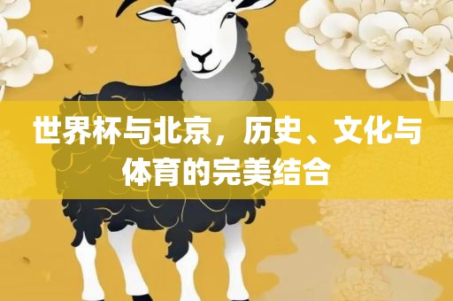 世界杯与北京，历史、文化与体育的完美结合眉山市正发家政服务有限公司