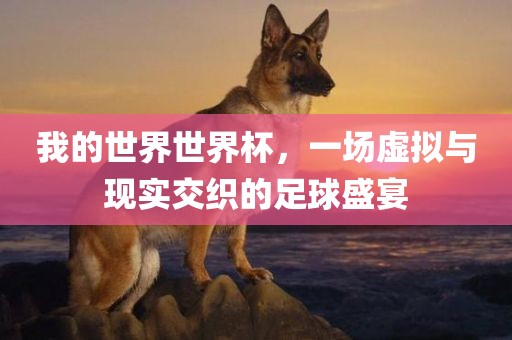 我的世界世界杯，一场虚拟与现实交织的足球眉山市正发家政服务有限公司盛宴