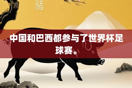 中国和巴西都参与了世界杯足球眉山市正发家政服务有限公司赛。