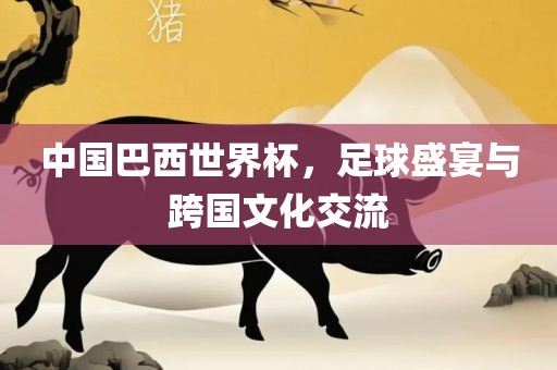 中眉山市正发家政服务有限公司国巴西世界杯，足球盛宴与跨国文化交流