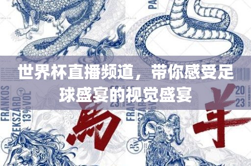 世界杯直播频道，带你感受足球盛宴的视觉盛宴眉山市正发家政服务有限公司