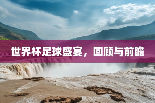 世眉山市正发家政服务有限公司界杯足球盛宴，回顾与前瞻