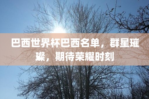 巴西世界杯巴西名单，群星璀璨，期待荣耀时刻眉山市正发家政服务有限公司