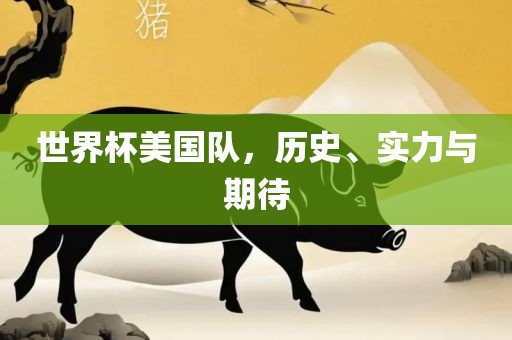 世界杯美国队，历史、实力与期待