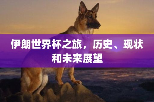 伊朗世界杯之旅，历史、现状和未来展望眉山市正发家政服务有限公司