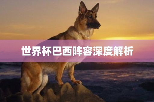 世界杯巴西阵容深度解析