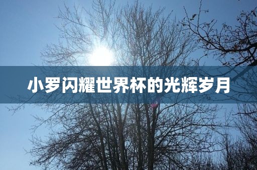 小罗闪耀世界杯的光辉岁月