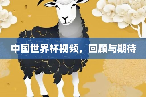 中国世界杯视频，回顾与期待