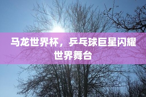 马龙世界杯，乒乓球巨星闪耀世界舞台眉山市正发家政服务有限公司