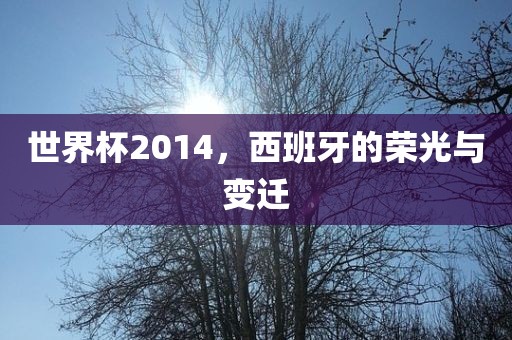 世界杯2014，西班牙的荣光与变迁