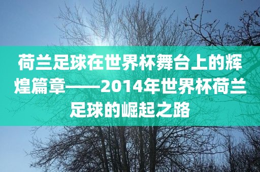 荷兰足球在世界杯舞台上的辉煌篇章——2014年世界杯荷兰足球的崛起之路