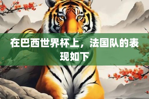 在巴西世界杯上，法国队的表现如下眉山市正发家政服务有限公司