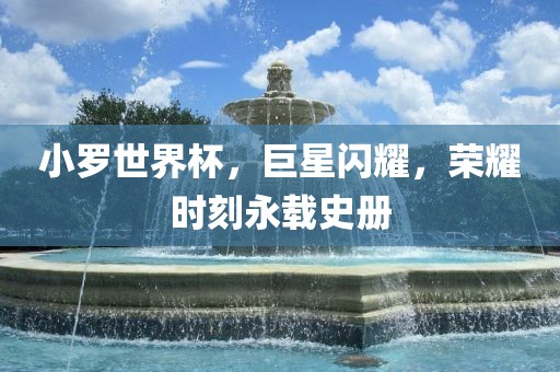 小罗世界杯，巨星闪耀，荣耀时刻永载史册眉山市正发家政服务有限公司