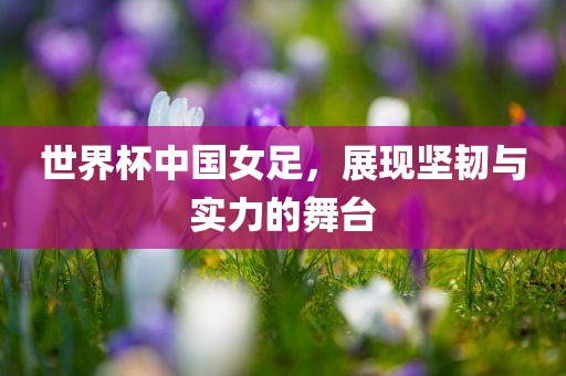 世界杯中国女足，展现坚韧与实力的舞台