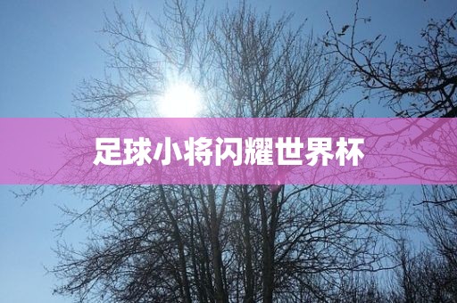 足球小将闪耀世界杯眉山市正发家政服务有限公司