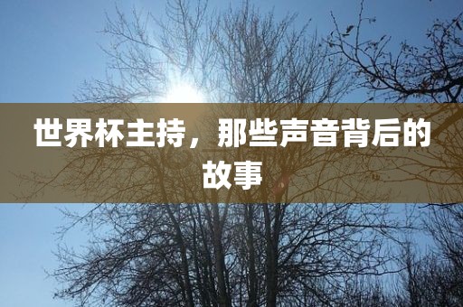 世界杯主持，那些声音背后的故事眉山市正发家政服务有限公司