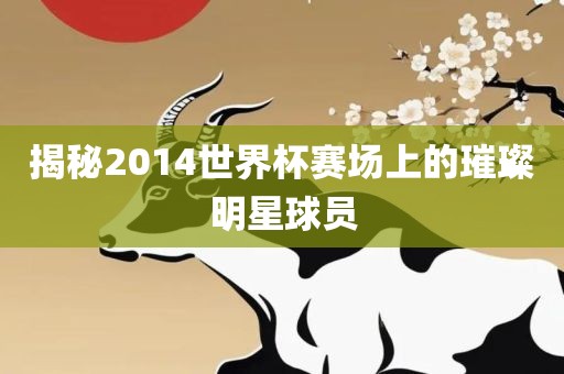 揭秘2014世界杯赛场上的璀璨明星球员眉山市正发家政服务有限公司
