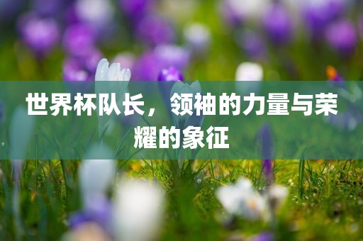 世界杯队长，领袖的力量与荣耀的眉山市正发家政服务有限公司象征