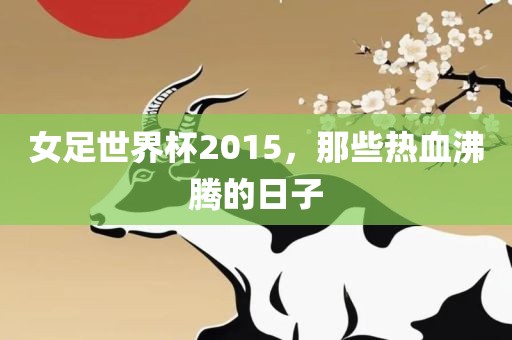 女足世界杯2015，那些热血沸腾的日子