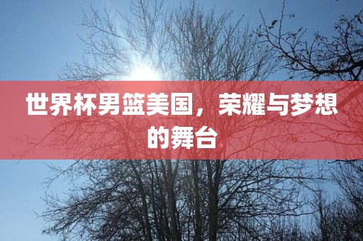 世界杯男篮美国，荣耀与梦想的舞台