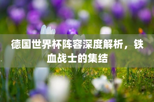 德国世界杯阵容深度解析，铁血战士的集结