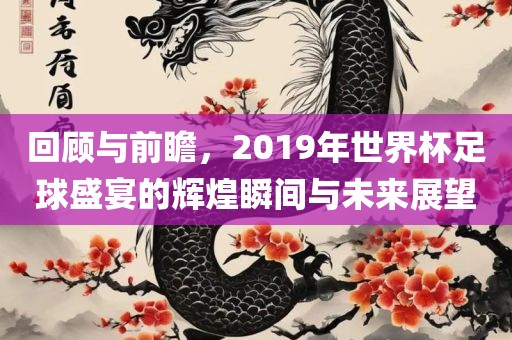 回顾与前瞻，2019年世界杯足球盛宴的辉煌瞬间与未来展望眉山市正发家政服务有限公司