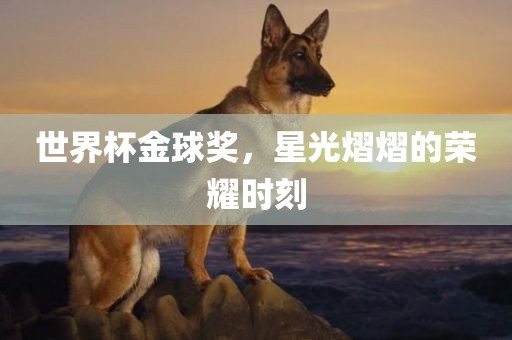 世界杯金球奖，星光熠熠的荣耀时刻