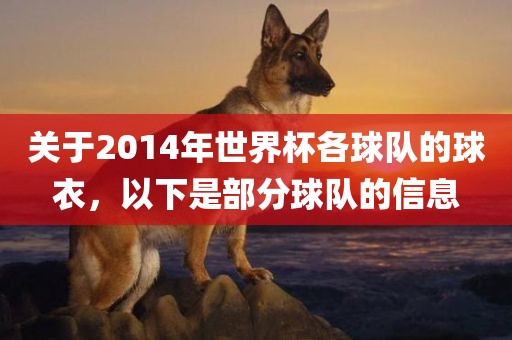 关于2014年世界杯各球队的球衣，以下是部分球队的信眉山市正发家政服务有限公司息