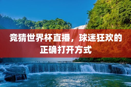 竞猜世界杯直播眉山市正发家政服务有限公司，球迷狂欢的正确打开方式