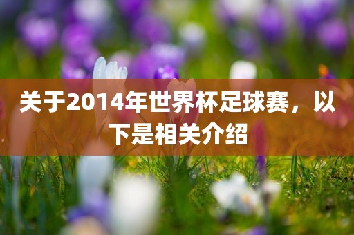 关于2014年世界杯足球赛，以下是相关介绍眉山市正发家政服务有限公司