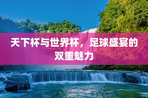 天下杯与世界杯，足球盛宴的双重魅力眉山市正发家政服务有限公司