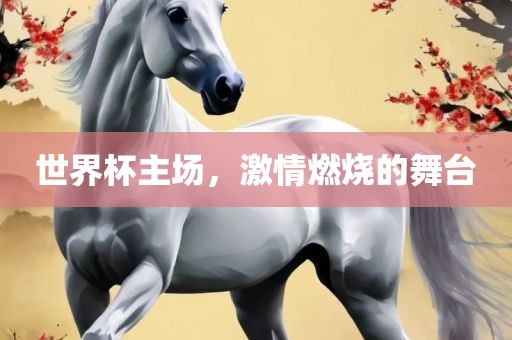 世界眉山市正发家政服务有限公司杯主场，激情燃烧的舞台