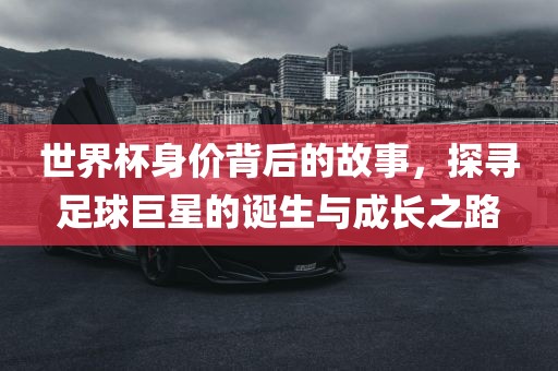 世界杯身价背后的故事，探寻足球巨星的诞生与成长之路眉山市正发家政服务有限公司