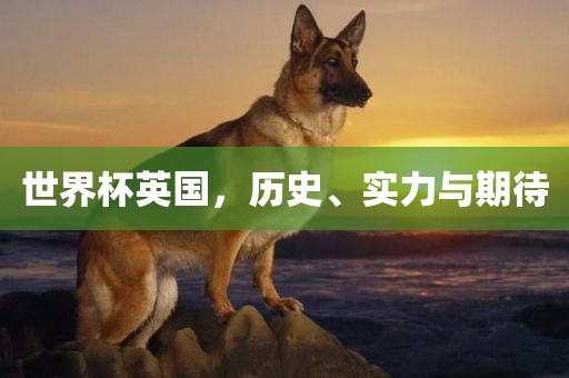 世界杯英国，历史、实力与期待眉山市正发家政服务有限公司