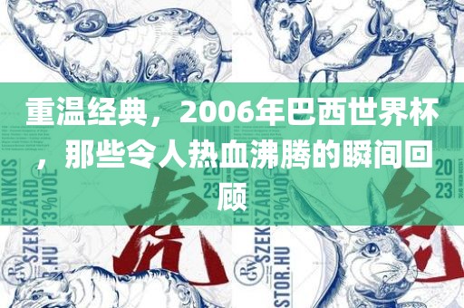重温经典，2006年巴西世界杯，那些令人热血沸腾的瞬间回顾