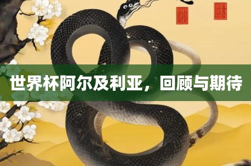 世界杯阿尔及利亚，回顾与期待眉山市正发家政服务有限公司