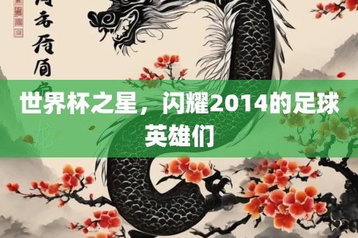 世界杯之星，闪耀2014的足球英雄们